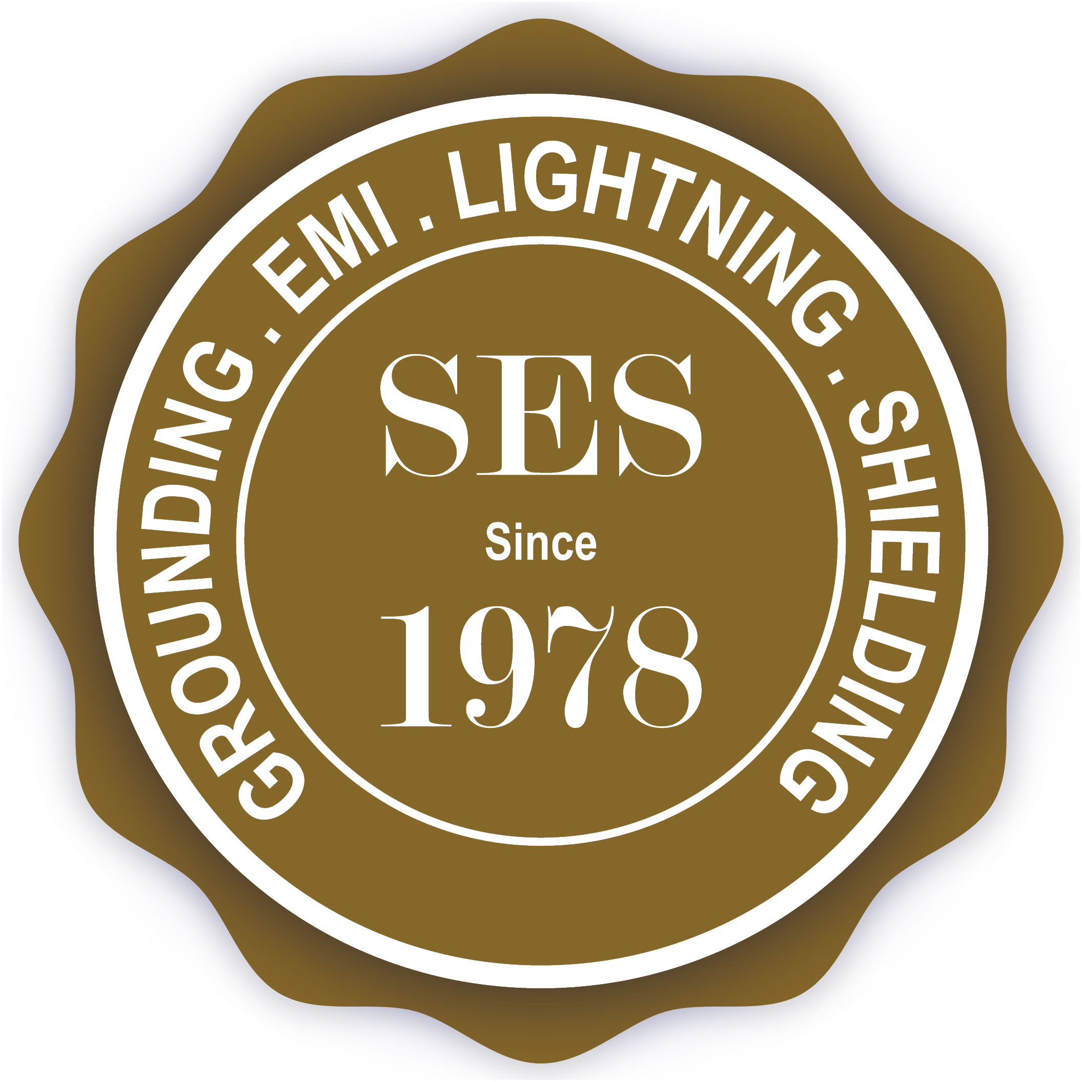 SES Training, Training You and Your Staff to Carry Out Challenging Grounding, EMI and Lightning Studies